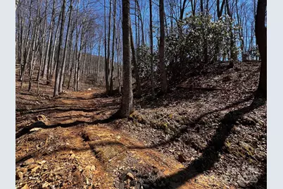 0 Rocky Face Drive #RF-2, Canton, NC 28716 - Photo 2