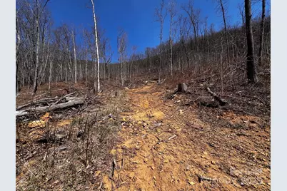 0 Rocky Face Drive #RF-2, Canton, NC 28716 - Photo 4