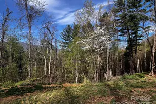 0 Little Creek Dr, Canton, NC 28716 - Photo 1