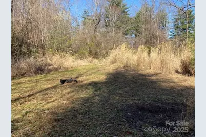 105 Mills Gap Road, Asheville, NC 28803 - Photo 6