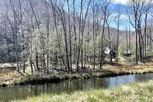 7810 Little Snowbird Rd, Robbinsville, NC 28771 - Photo 40