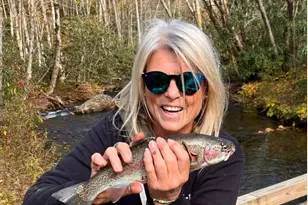 7810 Little Snowbird Rd, Robbinsville, NC 28771 - Photo 44