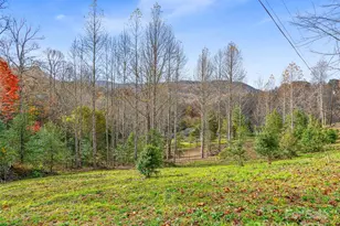 384 Flat Creek Rd, Fairview, NC 28730 - Photo 34