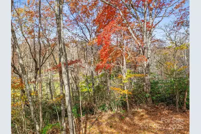 384 Flat Creek Road, Fairview, NC 28730 - Photo 30