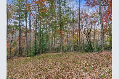 384 Flat Creek Road, Fairview, NC 28730 - Photo 32