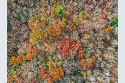 384 Flat Creek Road, Fairview, NC 28730 - Photo 18