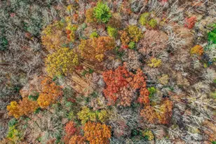 384 Flat Creek Rd, Fairview, NC 28730 - Photo 18