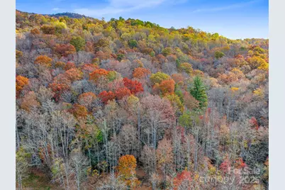 384 Flat Creek Road, Fairview, NC 28730 - Photo 20