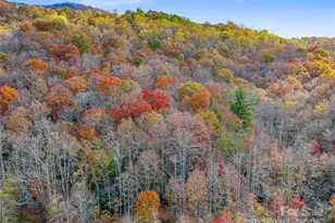 384 Flat Creek Rd, Fairview, NC 28730 - Photo 20