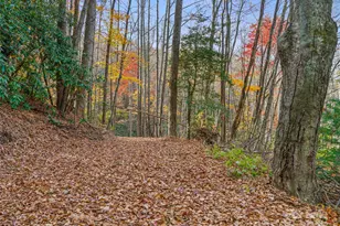 384 Flat Creek Rd, Fairview, NC 28730 - Photo 24