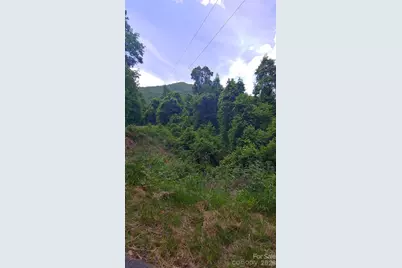 24 Village Lane, Waynesville, NC 28786 - Photo 10