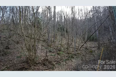 24 Village Lane, Waynesville, NC 28786 - Photo 12