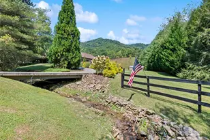 356 Curtis Creek Rd, Candler, NC 28715 - Photo 8