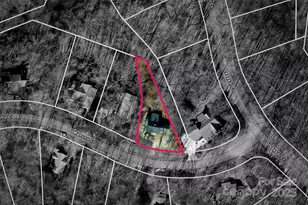 46 Wahuhu Ct, Brevard, NC 28712 - Photo 6