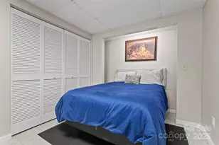 46 Wahuhu Ct, Brevard, NC 28712 - Photo 30