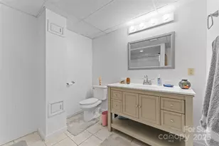 46 Wahuhu Ct, Brevard, NC 28712 - Photo 34