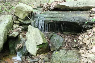 337 Roberson School Rd, Moravian Falls, NC 28654 - Photo 2