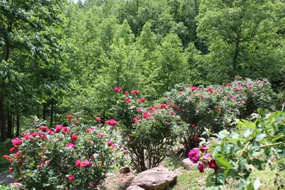 337 Roberson School Road, Moravian Falls, NC 28654 - Photo 8