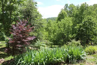 337 Roberson School Road, Moravian Falls, NC 28654 - Photo 40