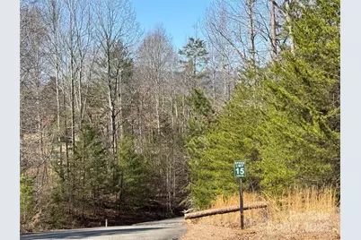 00 Shady Bark Lane, Rutherfordton, NC 28139 - Photo 2