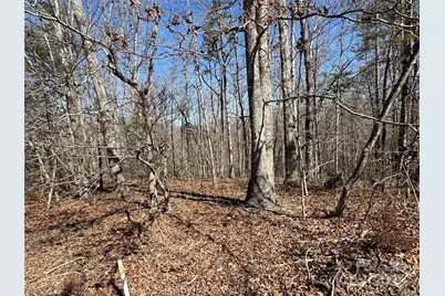 00 Shady Bark Lane, Rutherfordton, NC 28139 - Photo 4