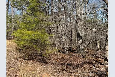 00 Shady Bark Lane, Rutherfordton, NC 28139 - Photo 10