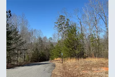 00 Shady Bark Lane, Rutherfordton, NC 28139 - Photo 8