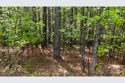 103 W Shortoff Trail NW #113, Valdese, NC 28690 - Photo 8