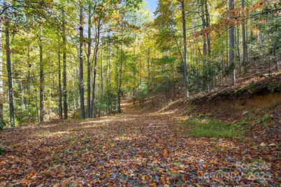 5389 Cascade Lake Road, Cedar Mountain, NC 28718 - Photo 8