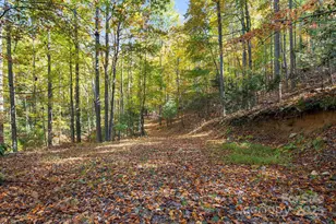 5389 Cascade Lake Rd, Cedar Mountain, NC 28718 - Photo 8