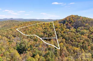 5389 Cascade Lake Rd, Cedar Mountain, NC 28718 - Photo 4