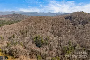 5389 Cascade Lake Rd, Cedar Mountain, NC 28718 - Photo 38