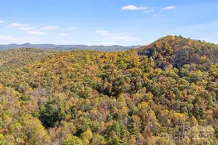5389 Cascade Lake Rd, Cedar Mountain, NC 28718 - Photo 28