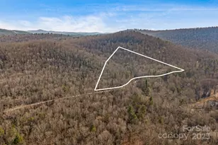 5389 Cascade Lake Rd, Cedar Mountain, NC 28718 - Photo 32