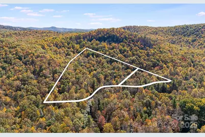 5389 Cascade Lake Road, Cedar Mountain, NC 28718 - Photo 2