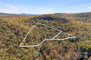 5389 Cascade Lake Rd, Cedar Mountain, NC 28718 - Photo 2