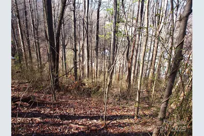 00 Bob Wood Drive, Canton, NC 28716 - Photo 12