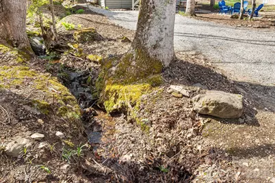 21 Susan Drive, Maggie Valley, NC 28751 - Photo 4