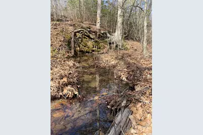 0 Cane Creek Mountain Road, Bostic, NC 28018 - Photo 10