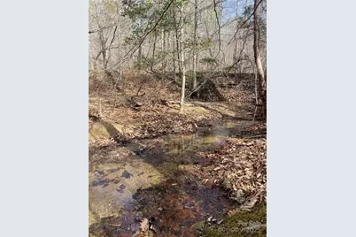 0 Cane Creek Mountain Road, Bostic, NC 28018 - Photo 8