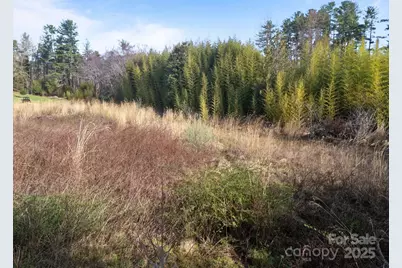 193 Montevilla Drive, Hendersonville, NC 28739 - Photo 4