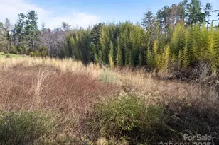 193 Montevilla Dr, Hendersonville, NC 28739 - Photo 4