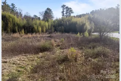 193 Montevilla Drive, Hendersonville, NC 28739 - Photo 8