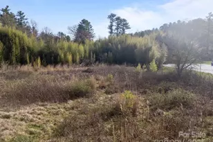 193 Montevilla Dr, Hendersonville, NC 28739 - Photo 8