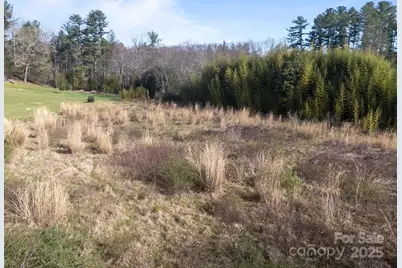 193 Montevilla Drive, Hendersonville, NC 28739 - Photo 10