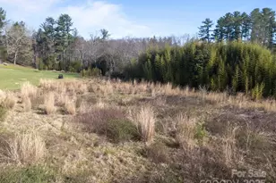 193 Montevilla Dr, Hendersonville, NC 28739 - Photo 10