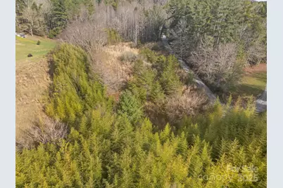 425 Nelson Valley Lane, Hendersonville, NC 28739 - Photo 18