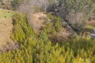 425 Nelson Valley Ln, Hendersonville, NC 28739 - Photo 18