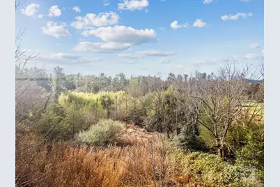 425 Nelson Valley Lane, Hendersonville, NC 28739 - Photo 6