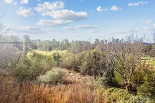 425 Nelson Valley Ln, Hendersonville, NC 28739 - Photo 6